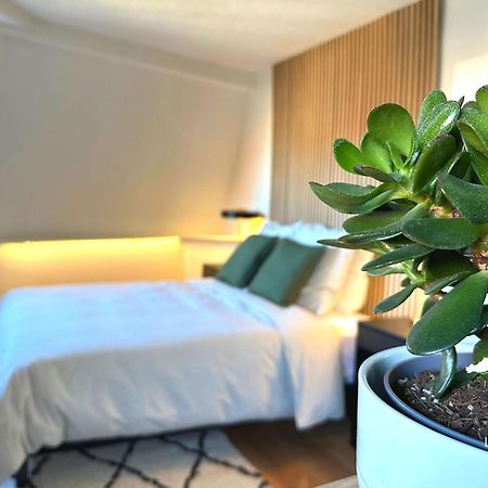 Suite Dernier Etage Saint-Maur لا مادلين المظهر الخارجي الصورة
